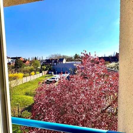 Magnifique 2 - Parking - Netflix - Gare Arras